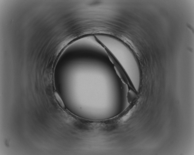 X0000092101081200709121540