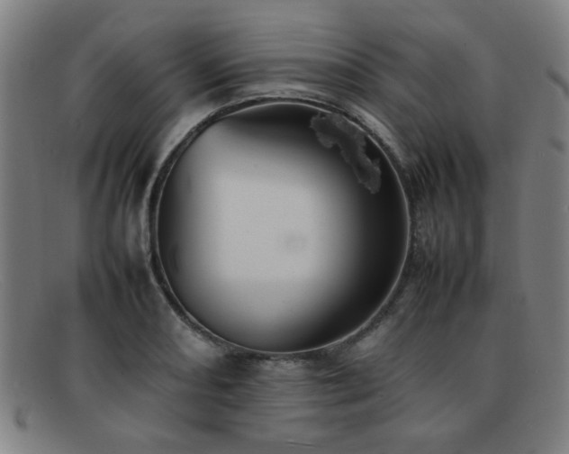 X0000092101082200709121540