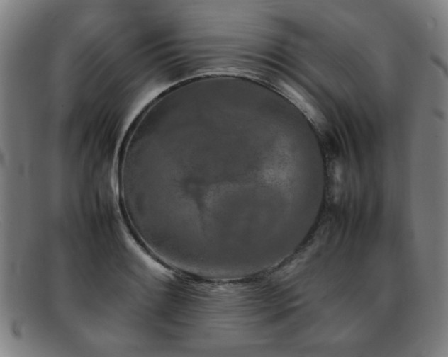 X0000092101084200709121540