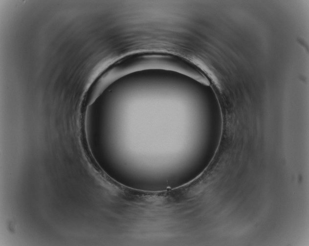 X0000092101085200709121540