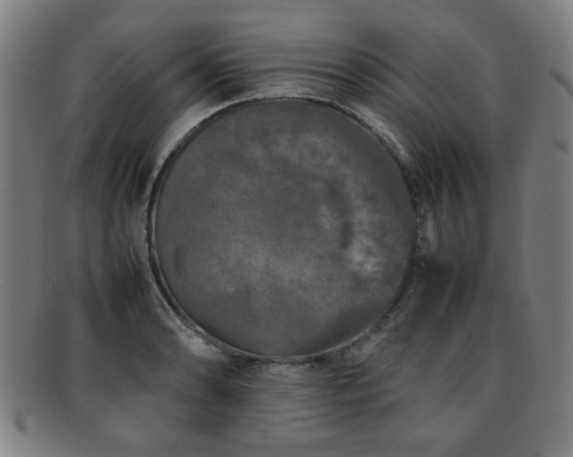 X0000092101086200709121540