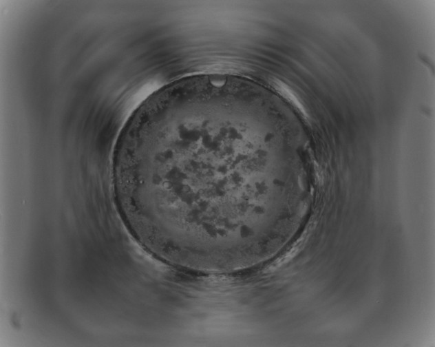 X0000092101087200709121540