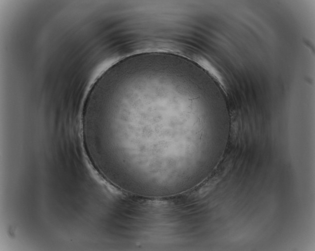 X0000092101088200709121540