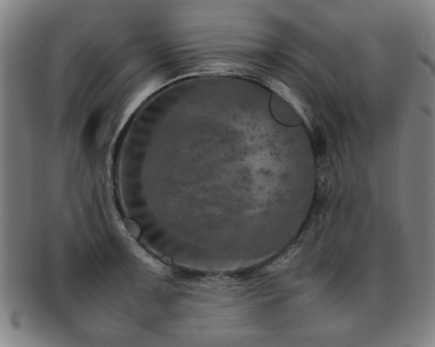 X0000092101091200709121540