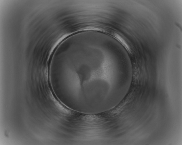 X0000092101092200709121540