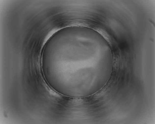 X0000092101094200709121540