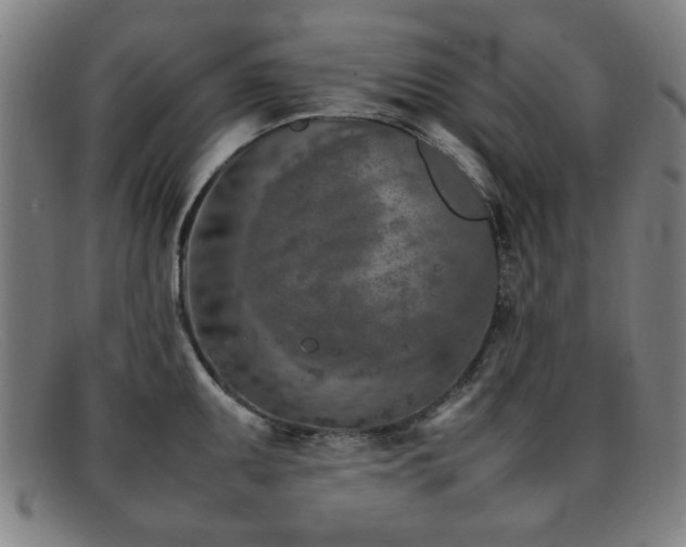 X0000092101095200709121540