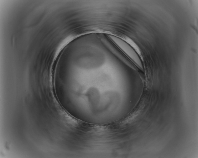 X0000092101096200709121540