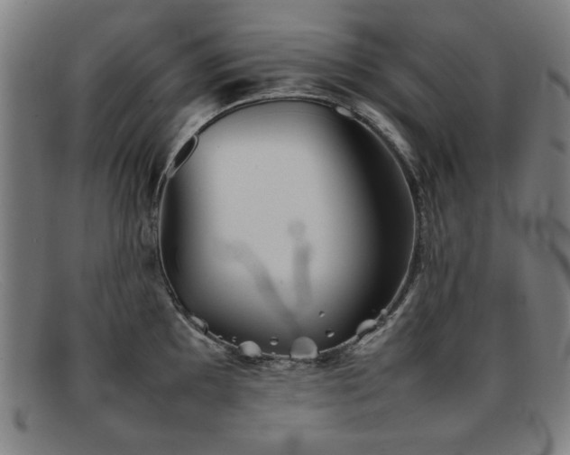 X0000092101097200709121540
