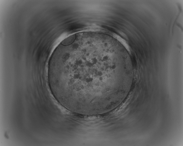 X0000092101099200709121540