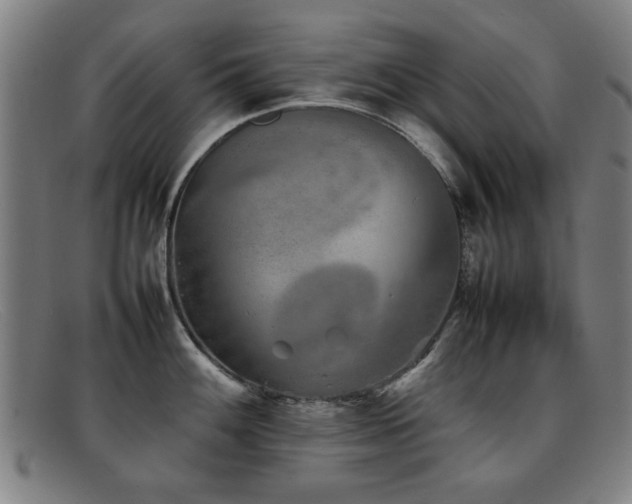 X0000092101100200709121540