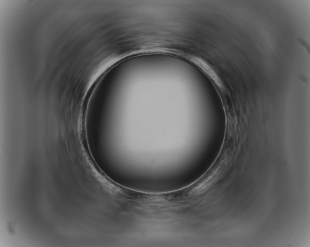 X0000092101101200709121540