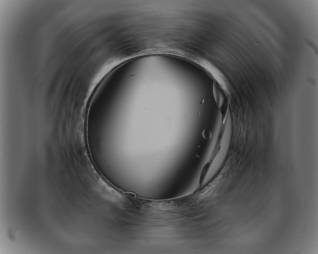 X0000092101102200709121540