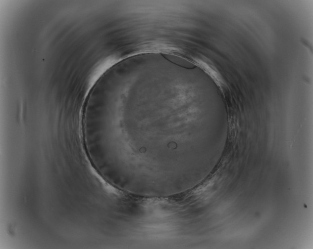 X0000092101103200709121540