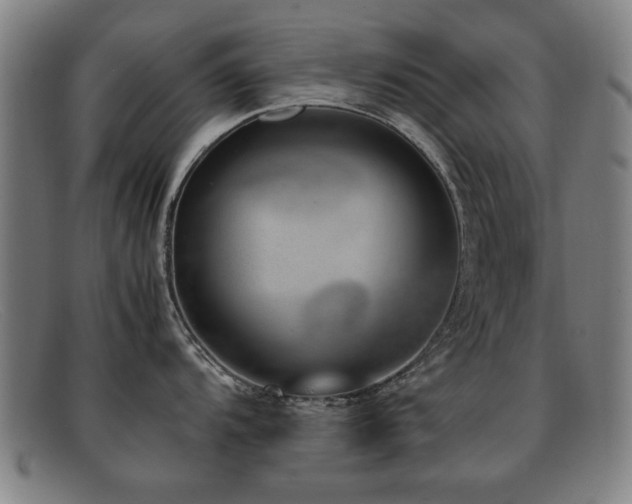 X0000092101104200709121540