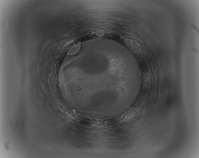 X0000092101105200709121539