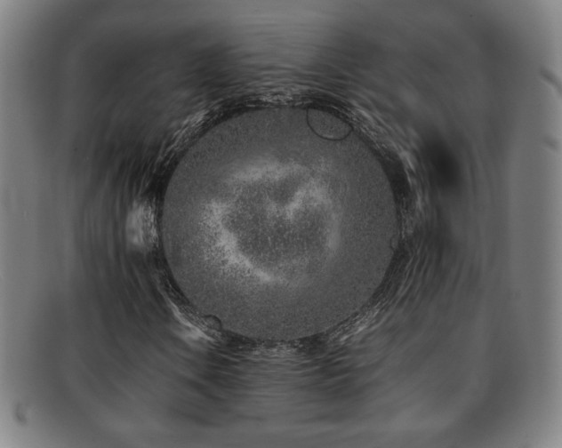 X0000092101106200709121539