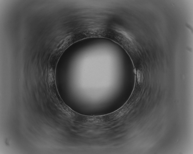 X0000092101107200709121539