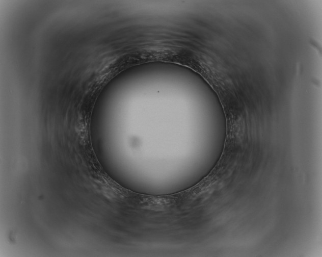 X0000092101109200709121539
