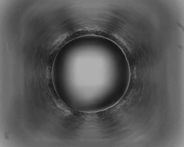 X0000092101110200709121539