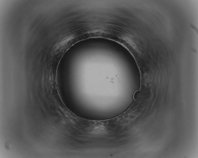 X0000092101111200709121539