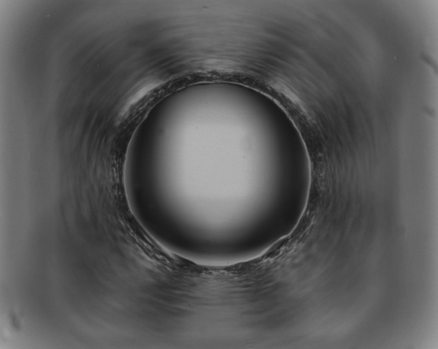 X0000092101112200709121539