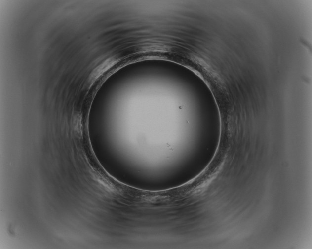 X0000092101113200709121539