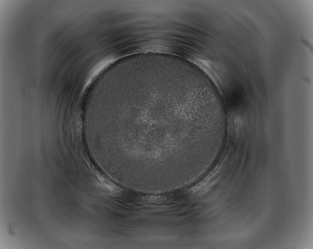 X0000092101115200709121539