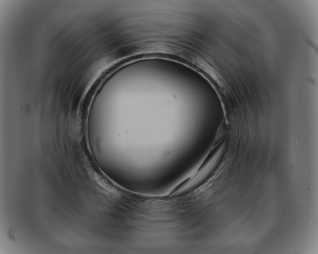 X0000092101116200709121539