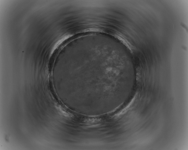 X0000092101117200709121539