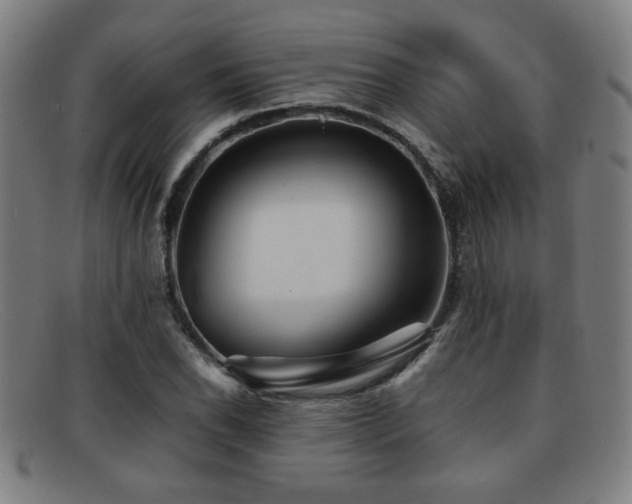 X0000092101118200709121539