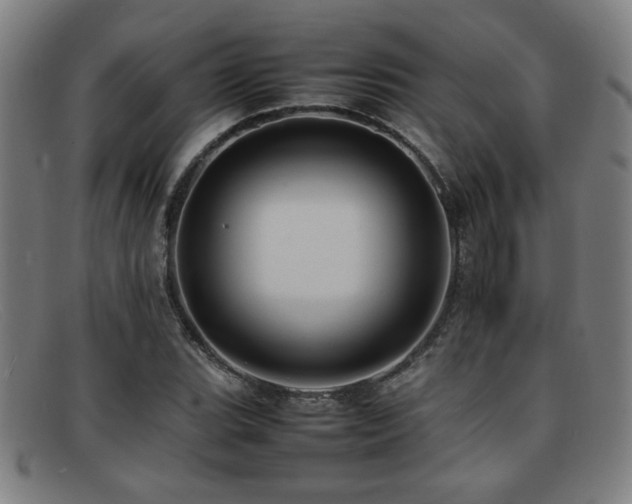X0000092101119200709121539