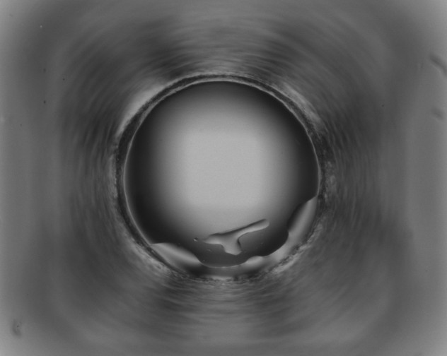 X0000092101120200709121539