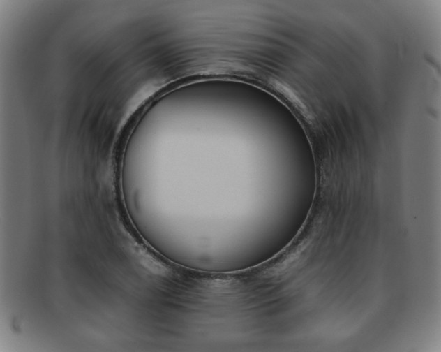 X0000092101122200709121539