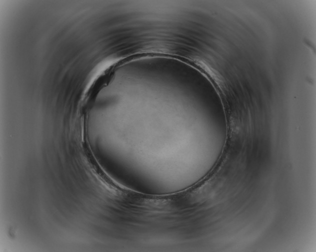 X0000092101123200709121539