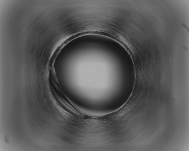 X0000092101124200709121539