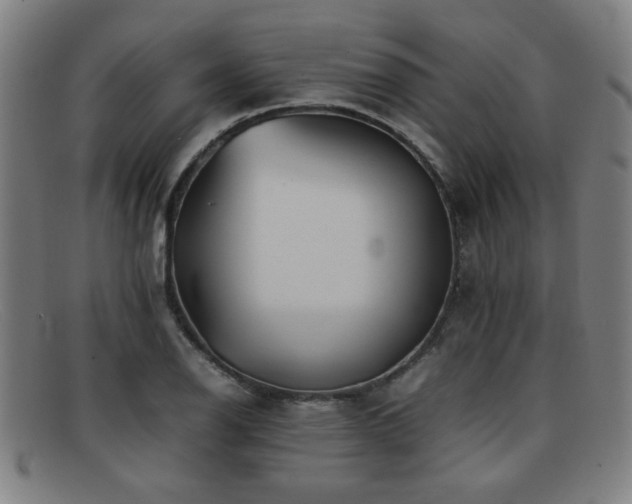 X0000092101126200709121539