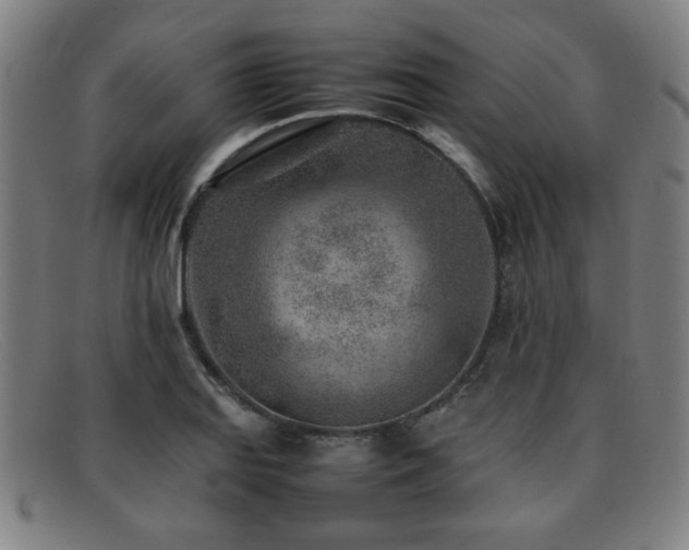 X0000092101127200709121539