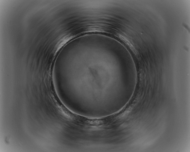 X0000092101129200709121539
