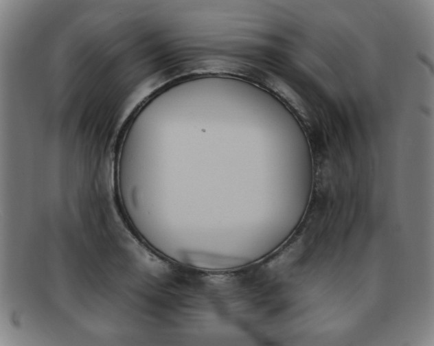 X0000092101130200709121539