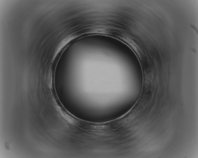 X0000092101131200709121539