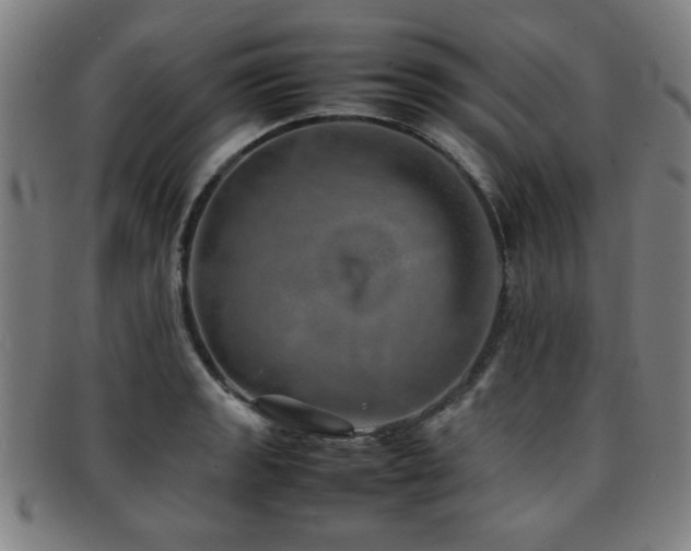 X0000092101133200709121539