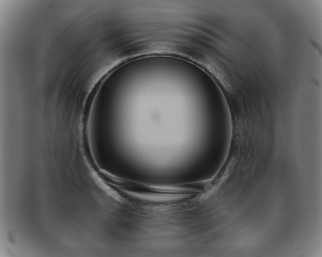 X0000092101134200709121539