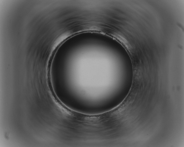 X0000092101135200709121539