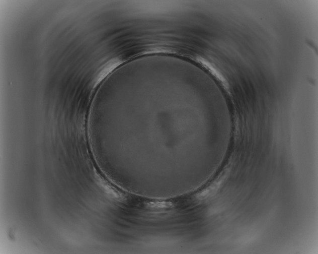 X0000092101137200709121539