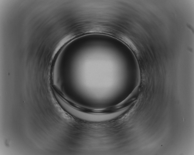 X0000092101138200709121539