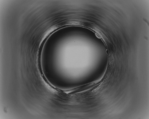 X0000092101139200709121539