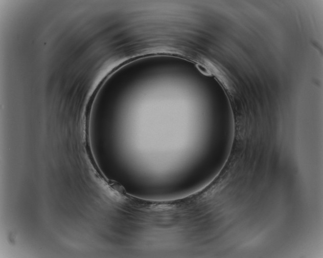 X0000092101140200709121539