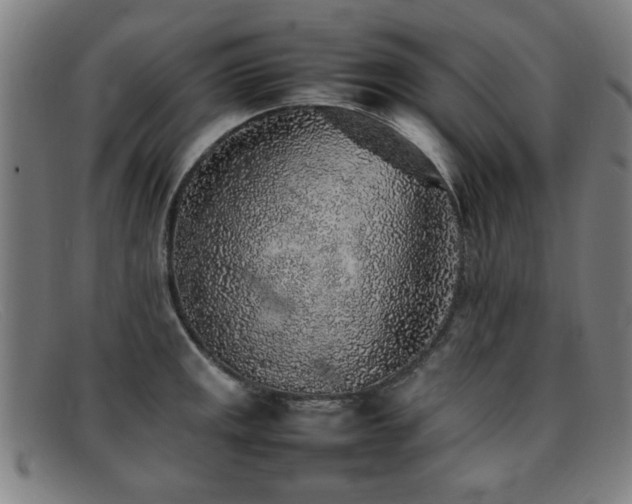 X0000092101141200709121539