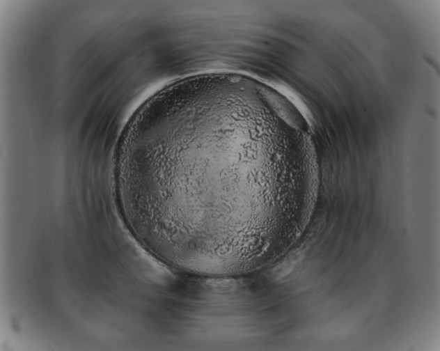 X0000092101142200709121539